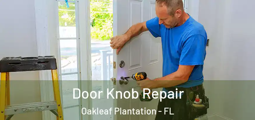  Door Knob Repair Oakleaf Plantation - FL