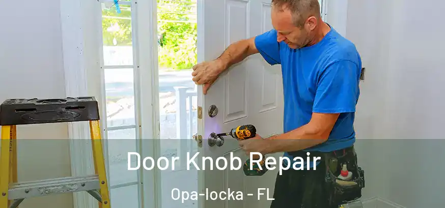  Door Knob Repair Opa-locka - FL