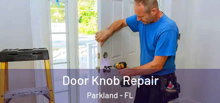  Door Knob Repair Parkland - FL