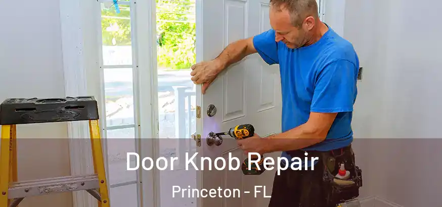 Door Knob Repair Princeton - FL