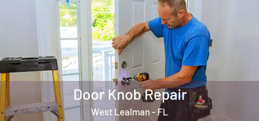 Door Knob Repair West Lealman - FL
