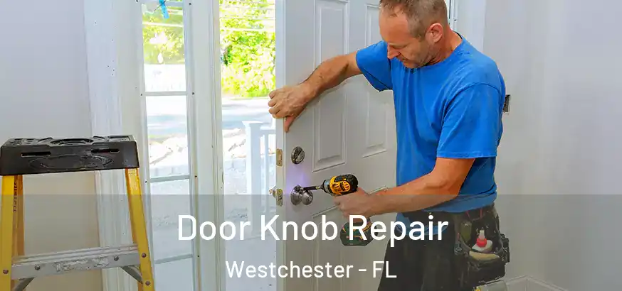  Door Knob Repair Westchester - FL