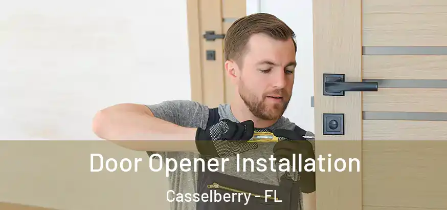  Door Opener Installation Casselberry - FL