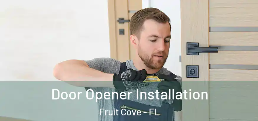  Door Opener Installation Fruit Cove - FL