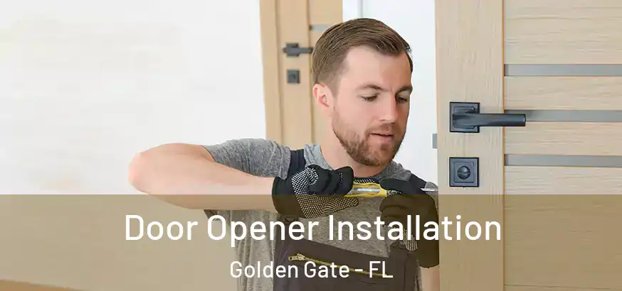  Door Opener Installation Golden Gate - FL