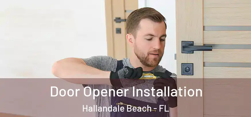  Door Opener Installation Hallandale Beach - FL