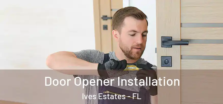  Door Opener Installation Ives Estates - FL