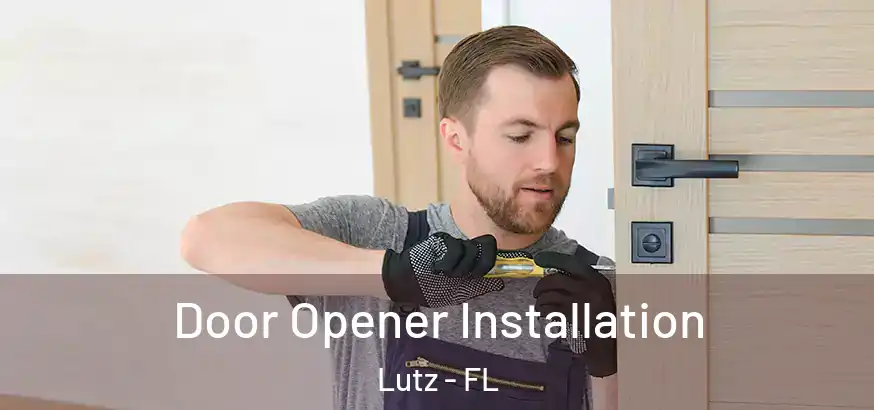  Door Opener Installation Lutz - FL