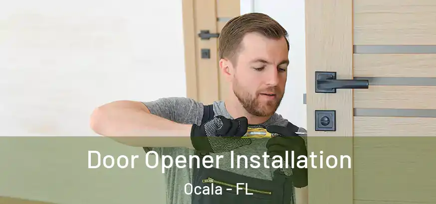  Door Opener Installation Ocala - FL
