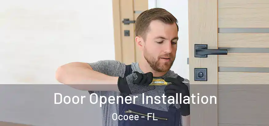  Door Opener Installation Ocoee - FL