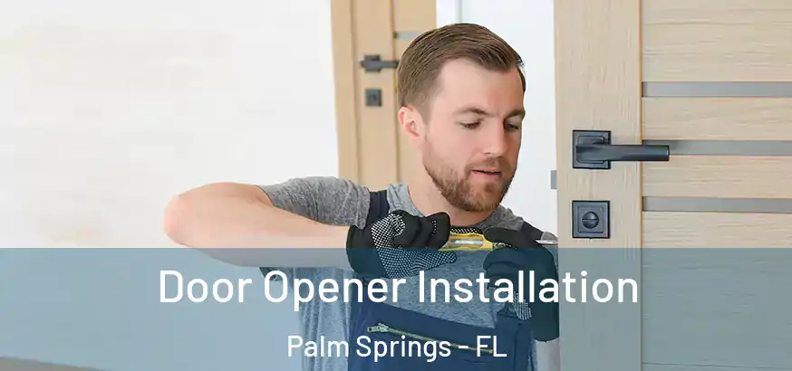  Door Opener Installation Palm Springs - FL