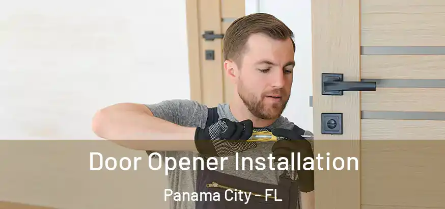 Door Opener Installation Panama City - FL