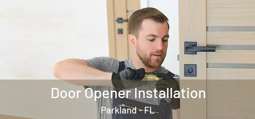  Door Opener Installation Parkland - FL