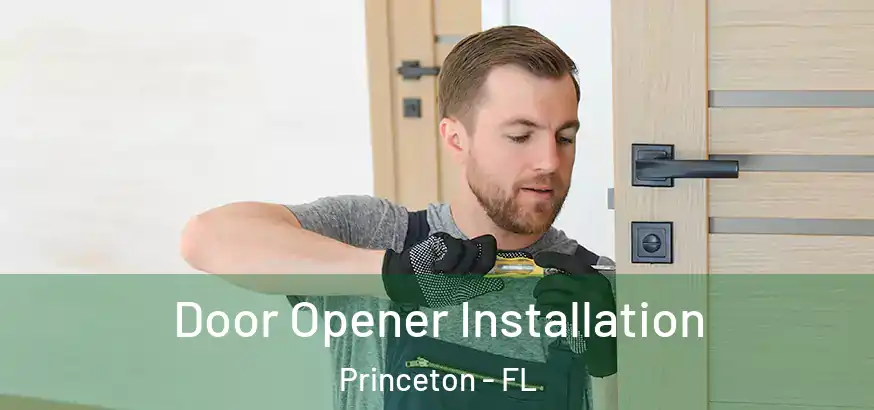 Door Opener Installation Princeton - FL