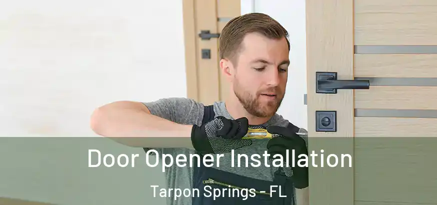  Door Opener Installation Tarpon Springs - FL