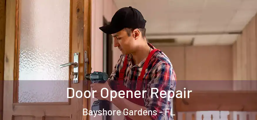  Door Opener Repair Bayshore Gardens - FL