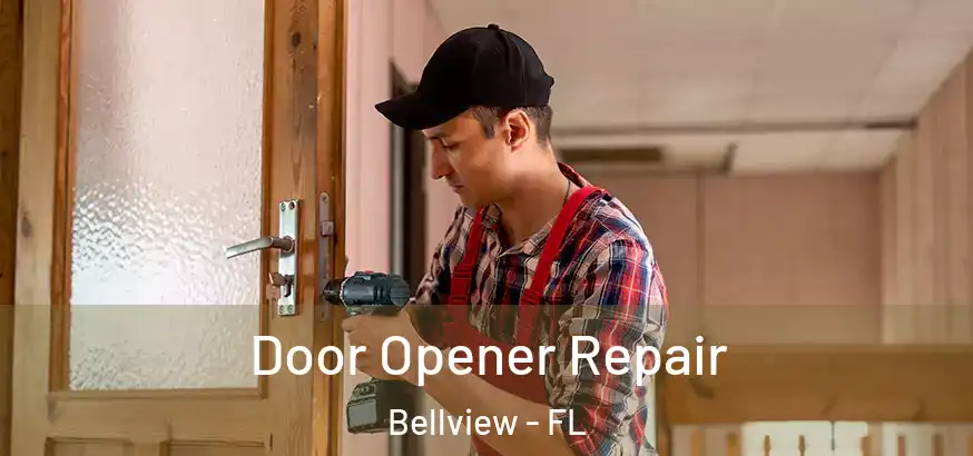  Door Opener Repair Bellview - FL