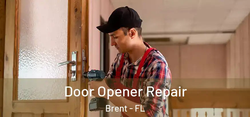  Door Opener Repair Brent - FL