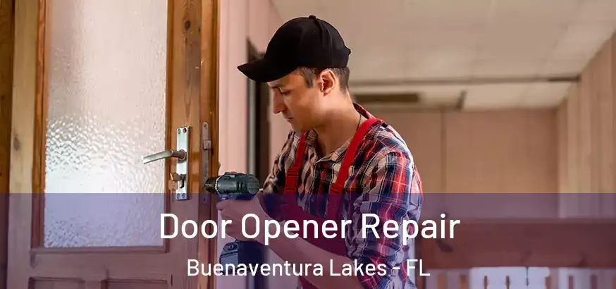  Door Opener Repair Buenaventura Lakes - FL