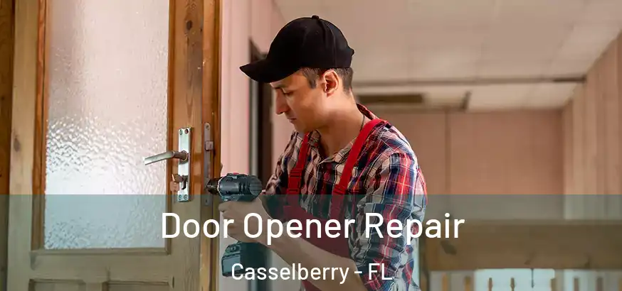 Door Opener Repair Casselberry - FL