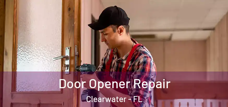  Door Opener Repair Clearwater - FL