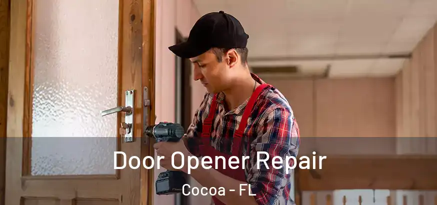  Door Opener Repair Cocoa - FL