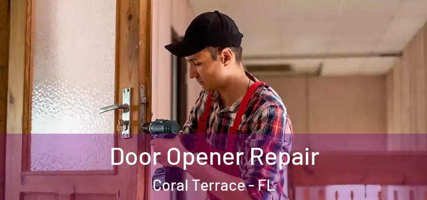  Door Opener Repair Coral Terrace - FL