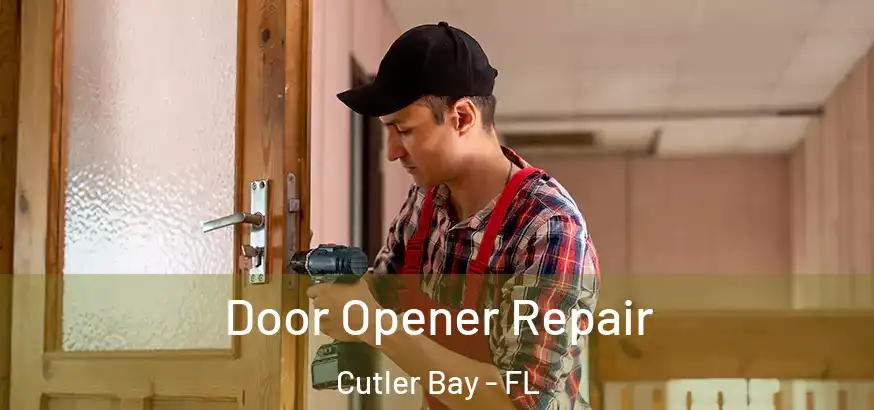 Door Opener Repair Cutler Bay - FL