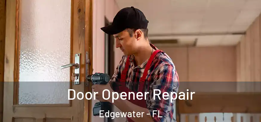  Door Opener Repair Edgewater - FL