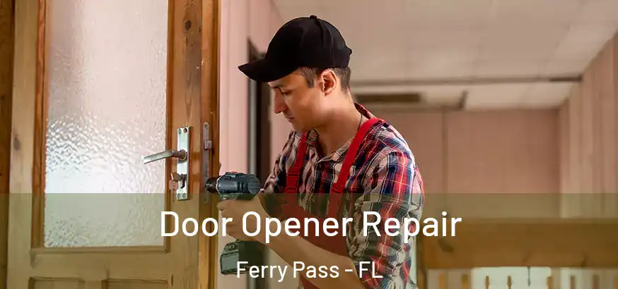 Door Opener Repair Ferry Pass - FL