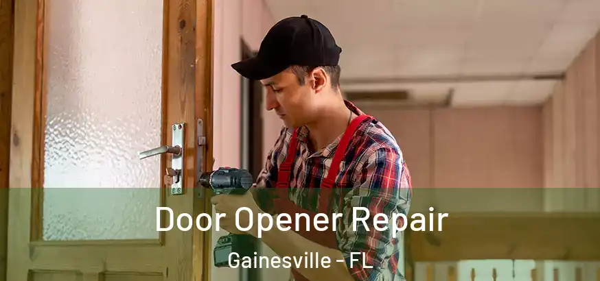 Door Opener Repair Gainesville - FL