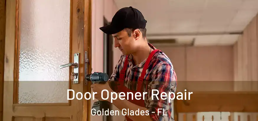  Door Opener Repair Golden Glades - FL