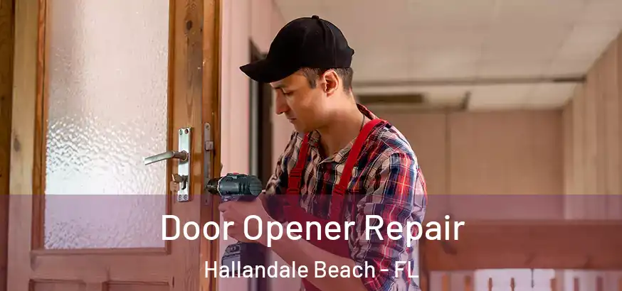 Door Opener Repair Hallandale Beach - FL