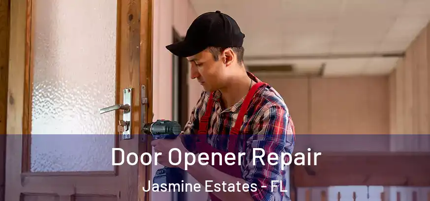 Door Opener Repair Jasmine Estates - FL