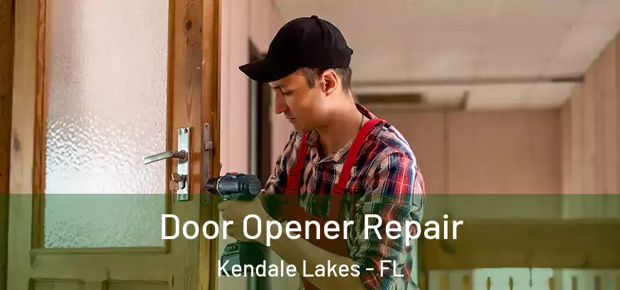  Door Opener Repair Kendale Lakes - FL