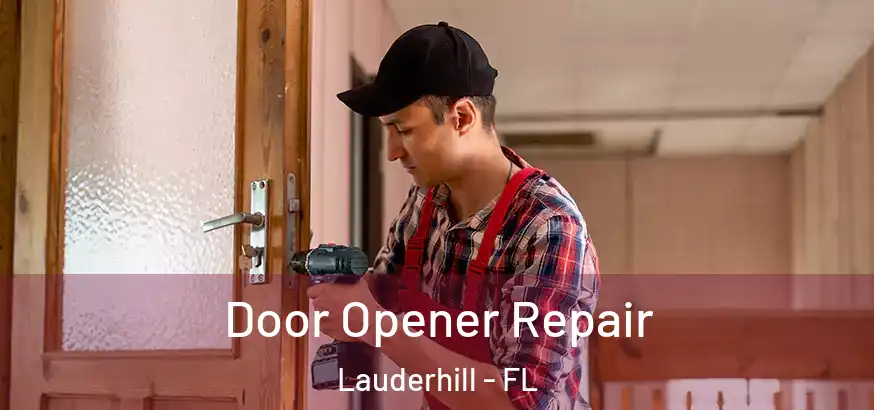  Door Opener Repair Lauderhill - FL
