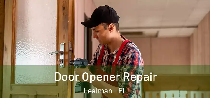  Door Opener Repair Lealman - FL