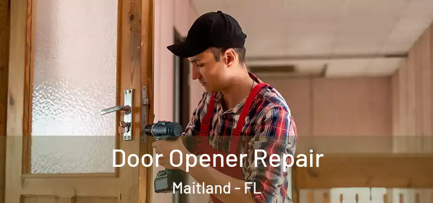  Door Opener Repair Maitland - FL