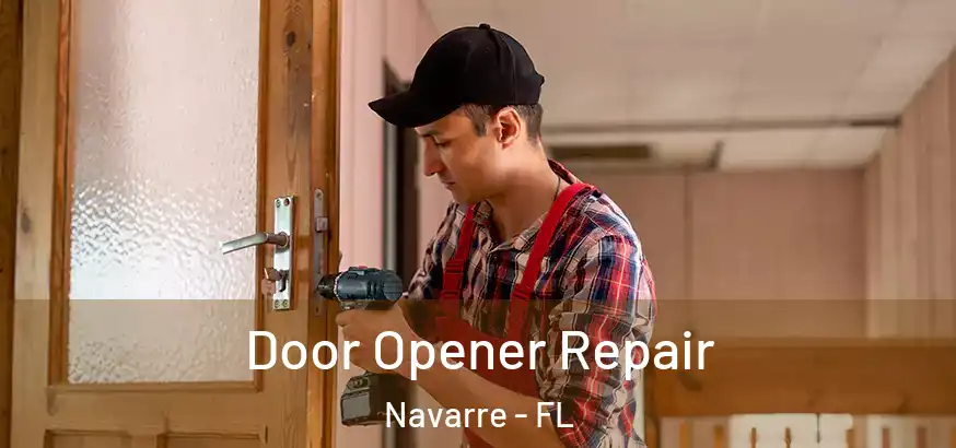 Door Opener Repair Navarre - FL