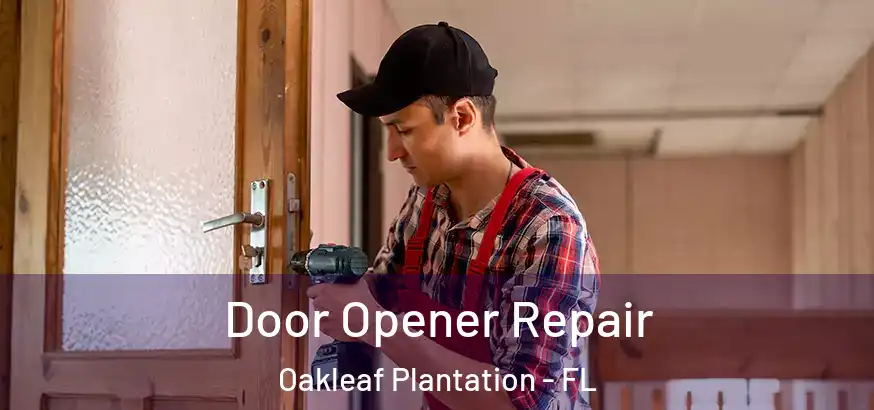  Door Opener Repair Oakleaf Plantation - FL