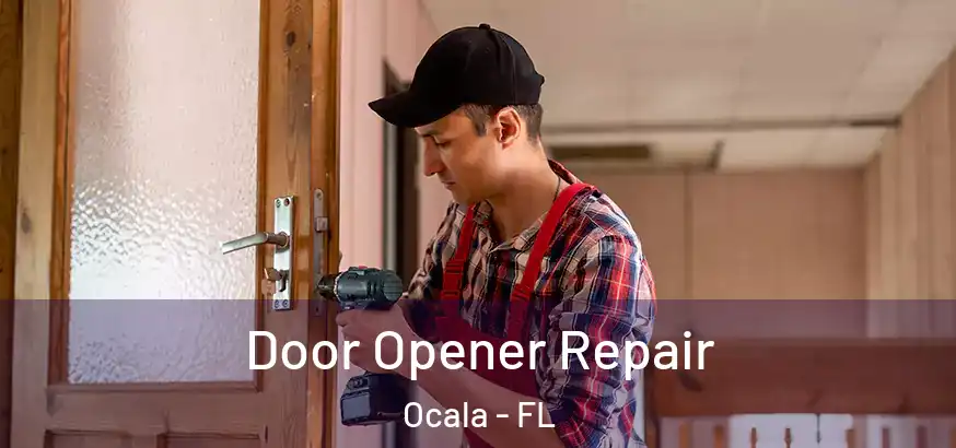  Door Opener Repair Ocala - FL