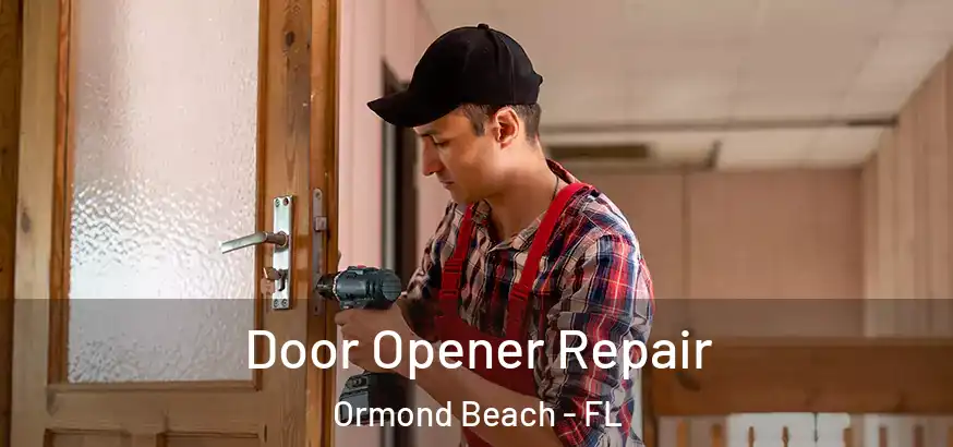  Door Opener Repair Ormond Beach - FL