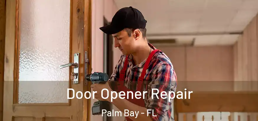 Door Opener Repair Palm Bay - FL
