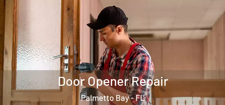  Door Opener Repair Palmetto Bay - FL
