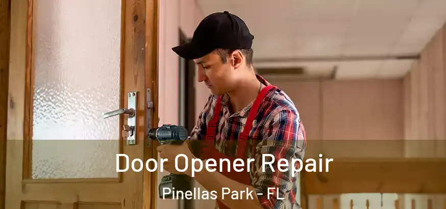  Door Opener Repair Pinellas Park - FL