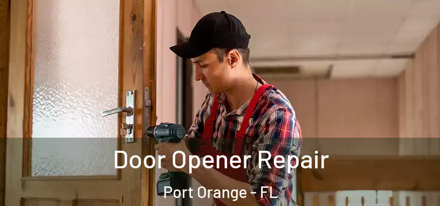  Door Opener Repair Port Orange - FL