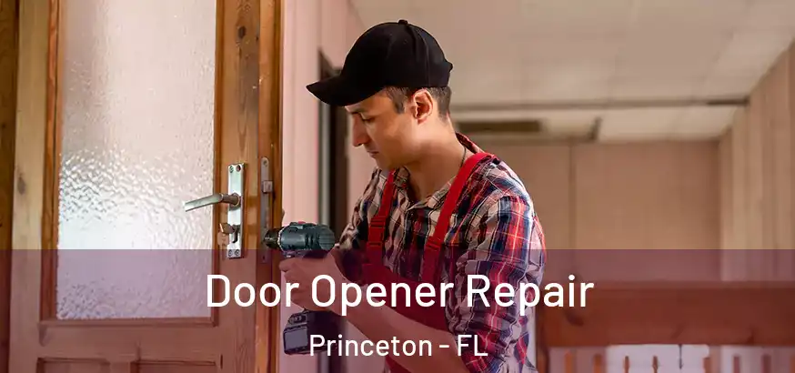 Door Opener Repair Princeton - FL