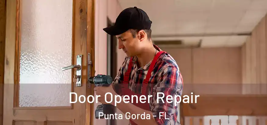  Door Opener Repair Punta Gorda - FL