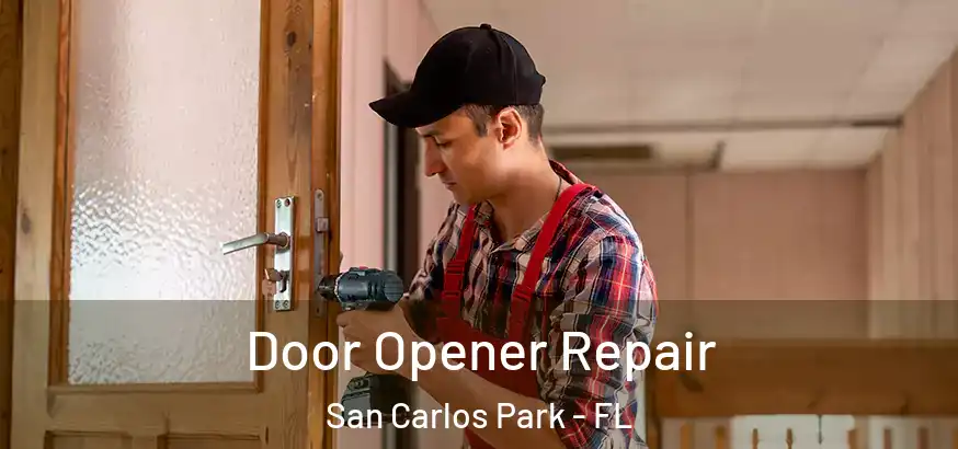  Door Opener Repair San Carlos Park - FL