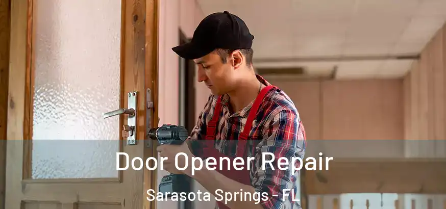 Door Opener Repair Sarasota Springs - FL
